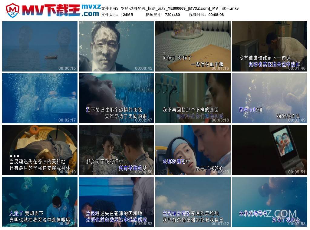 罗琦-选择坚强_国语_流行_YE800669